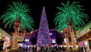 The world’s tallest fresh-cut Christmas tree is arriving in L.A. today