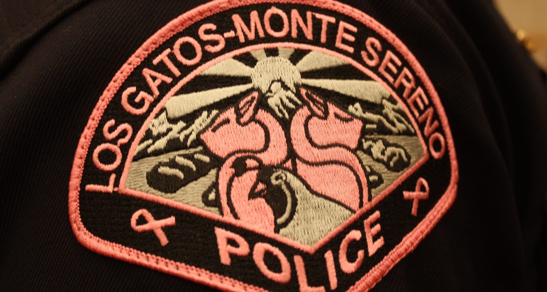 Officers arrested a shoplifting suspect on felony charge at Whole Foods on Los Gatos Blvd. (Police Blotter, Oct. 4 -10) | Los Gatan