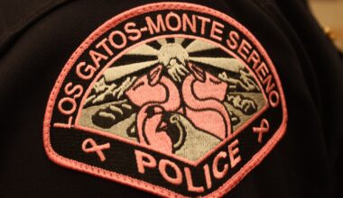 Officers arrested a shoplifting suspect on felony charge at Whole Foods on Los Gatos Blvd. (Police Blotter, Oct. 4 -10) | Los Gatan