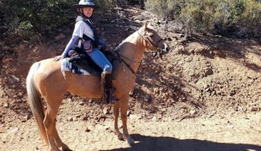 Officials to offer training on emergency animal evacuations in Ramona