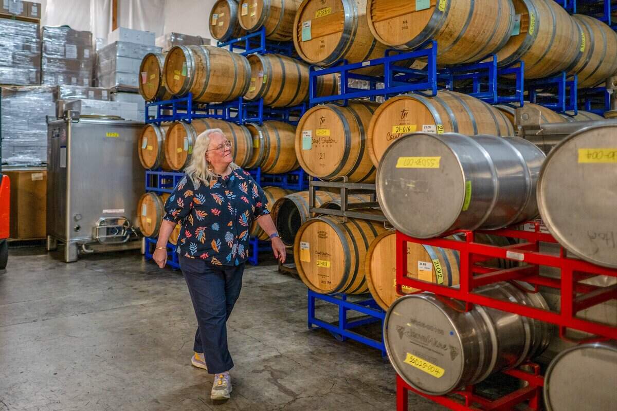 Winemaker Carol Shelton walks past empty wine barrels she has for sale in Santa Rosa on Wednesday, Sept. 30, 2026. “I’m voting for Mike Thompson because he’s done a lot for the wine industry. I’m not going to vote for anything related to Trump. He has screwed us royally in the wine business for years,” said Shelton, who has decided not to crush grapes after 26 years with her wine business.