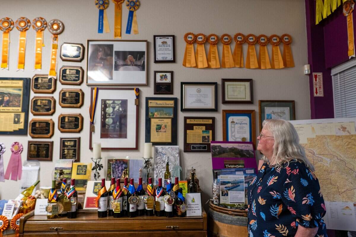 Winemaker Carol Shelton looks up at one of her walls of acclaim from her 26 years with her wine business in Santa Rosa on Wednesday, Sept. 30, 2026. “Trump’s tariffs and trade deals have not helped my business,” she said. She said his “fake news” and bad press about wine and health also were “damaging.”