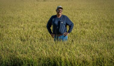 Tariffs and trade shape California agriculture votes