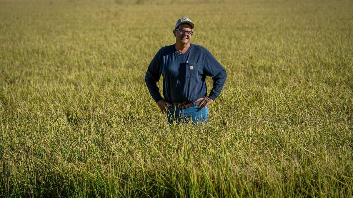 Tariffs and trade shape California agriculture votes
