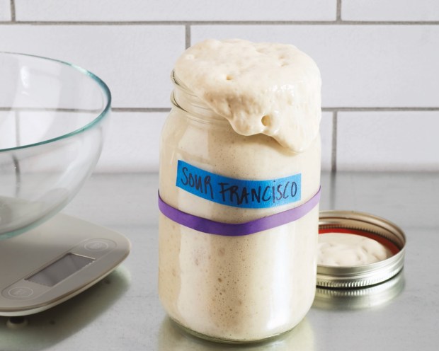 You'll find guidance on how to starting a sourdough starter in the pages of "Square Pie Guy," a forthcoming cookbook on Detroit-style pizza by Marc Schechter and Gabi Moskowitz. It involves bread flour, water and patience. (Courtesy of Stacy Ventura)