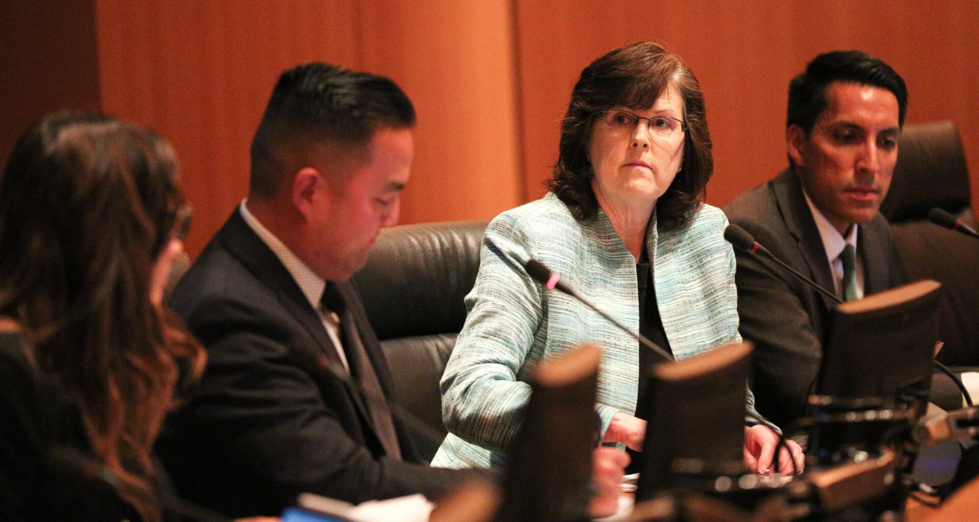 Milpitas City Council and Mayor Election: Good Governance