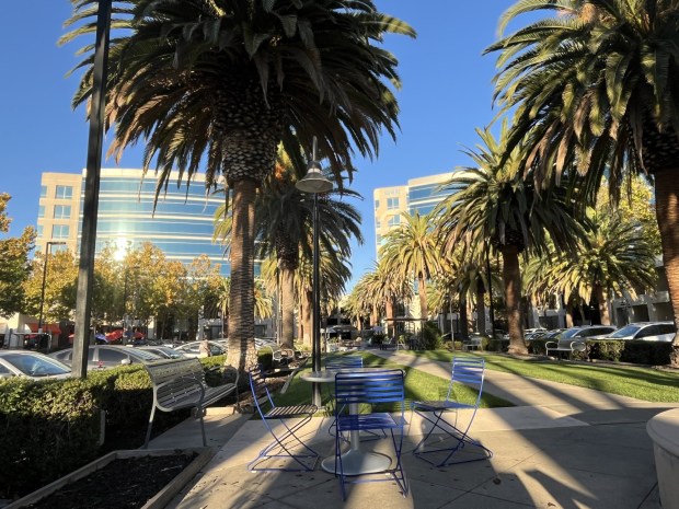 Open spaces and gathering areas next to office buildings at 1700 (left) and 1650 (right) Technology Drive in North San Jose, seen on Oct. 16, 2026. (George Avalos/Bay Area News Group)