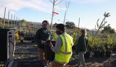 San Jose nonprofit Our City Forest continues to grow after 35 years