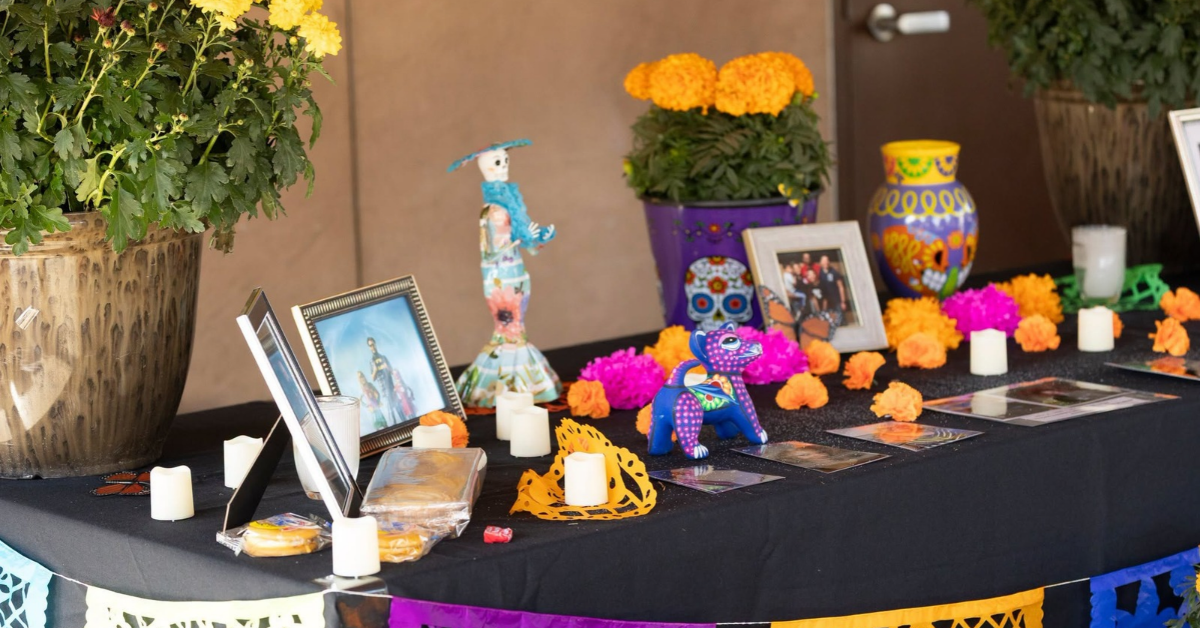 Chaffee Zoo cancels Dia de los Muertos due to ICE concerns