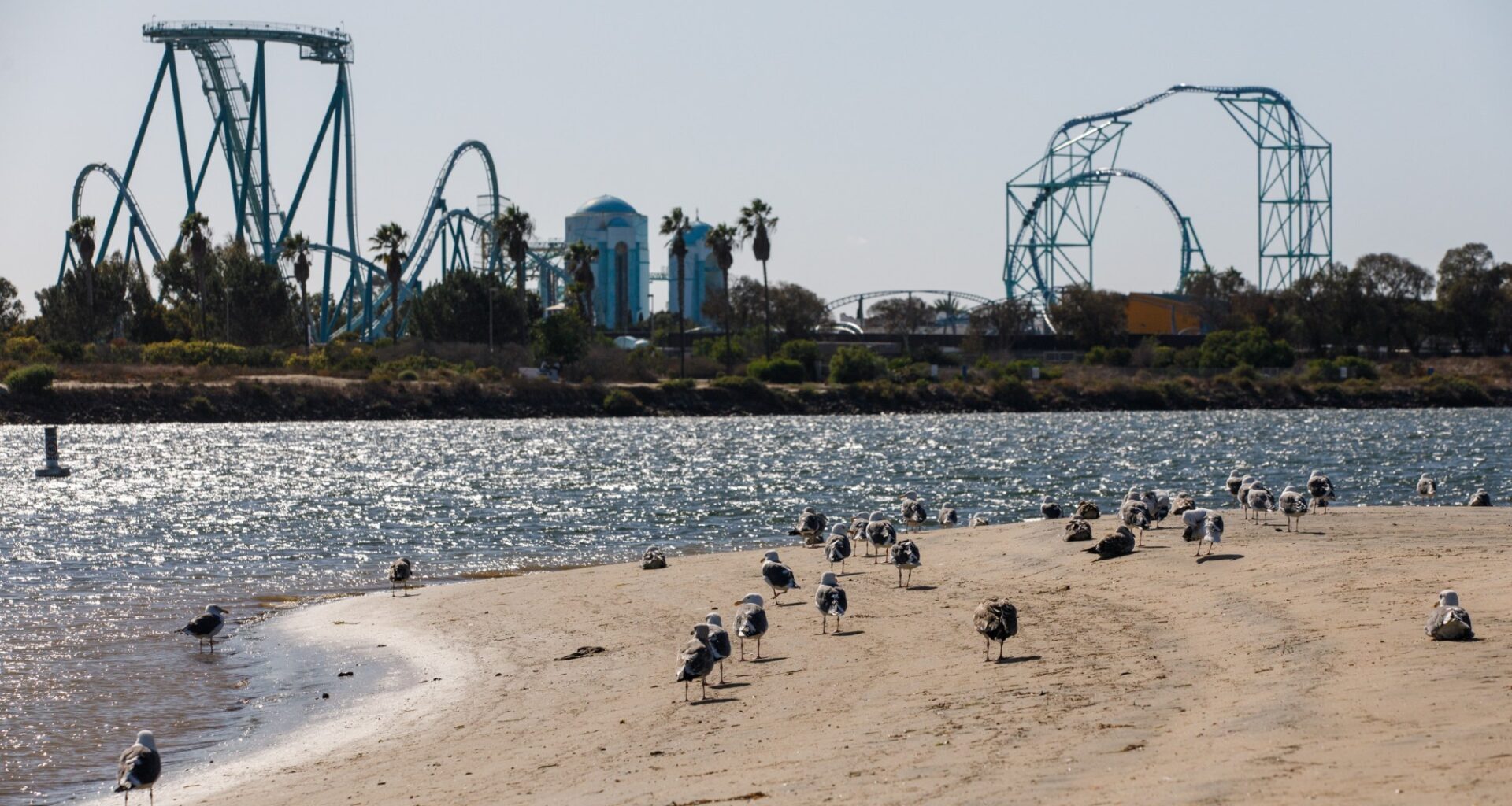 Does SeaWorld’s new master plan signal end of fireworks shows?  – San Diego Union-Tribune