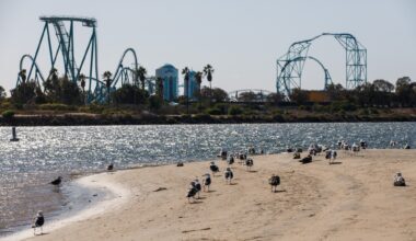 Does SeaWorld’s new master plan signal end of fireworks shows?  – San Diego Union-Tribune
