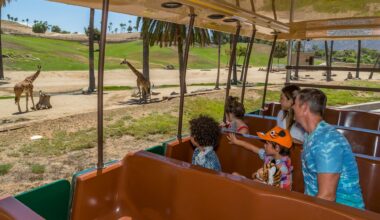Take advantage of Kids Free October deals in San Diego now – Orange County Register