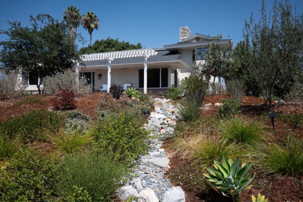 A dry rock riverbed in the Linmans' front yard, seen in mid-September, helps collect rainwater and route it to plants nearby, rather than having it wash out to the street. (Luke Johnson / The San Diego Union-Tribune)