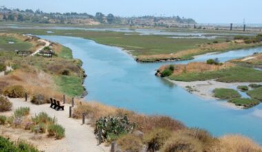 San Diego Parks & Rec earns national award for 'unwavering commitment to excellence'