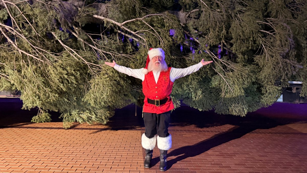 Christmas is here (sort of): A massive tree just arrived at Citadel Outlets – NBC Los Angeles
