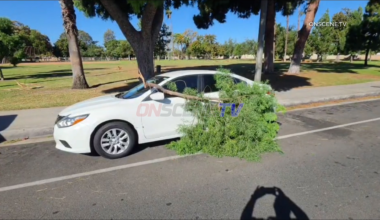 Extreme Winds Continue On Friday, Anaheim, CA – ONSCENE.TV