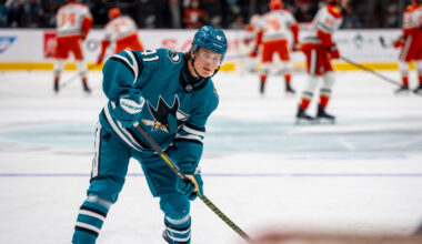 Stenberg's Impressive Preseason: Why NHL Transition Should Be Smooth