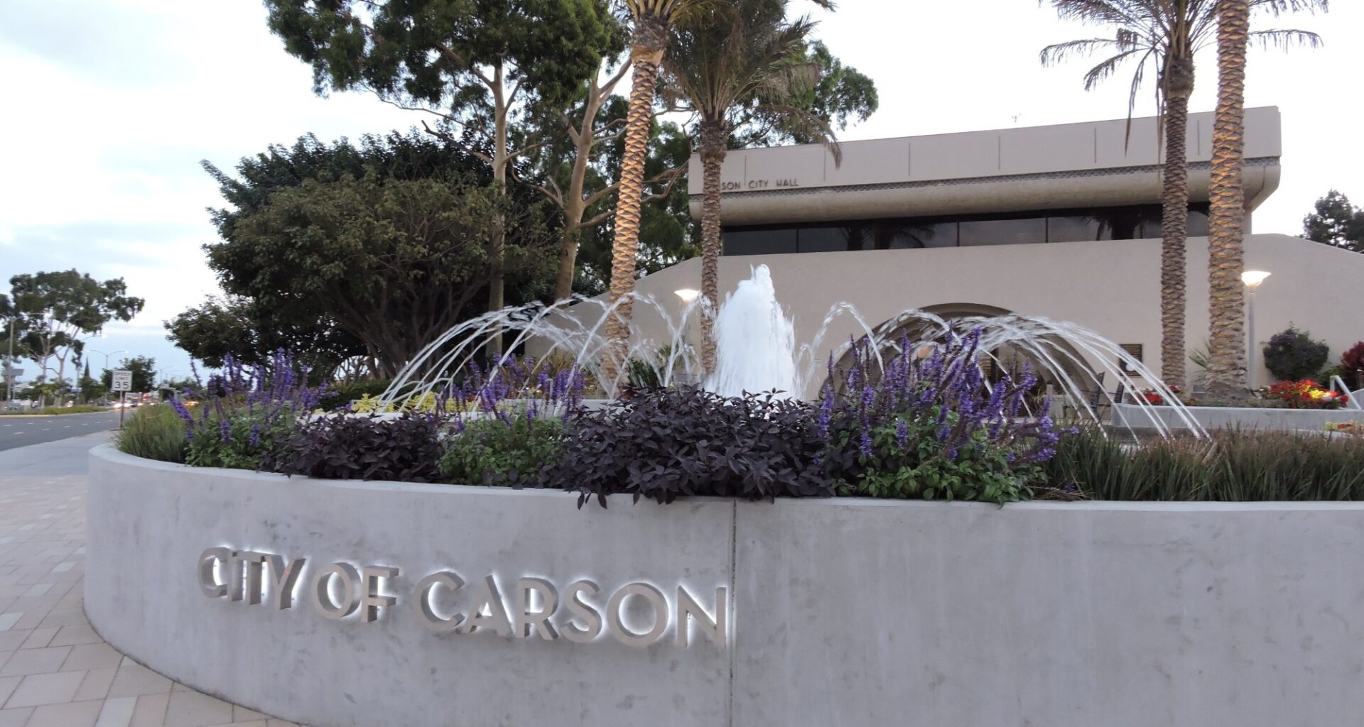 Elections 2026: Voters in Carson Council Districts 2 and 4 each have two candidates to choose from – Press Telegram