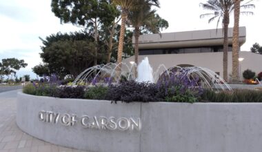 Elections 2026: Voters in Carson Council Districts 2 and 4 each have two candidates to choose from – Press Telegram