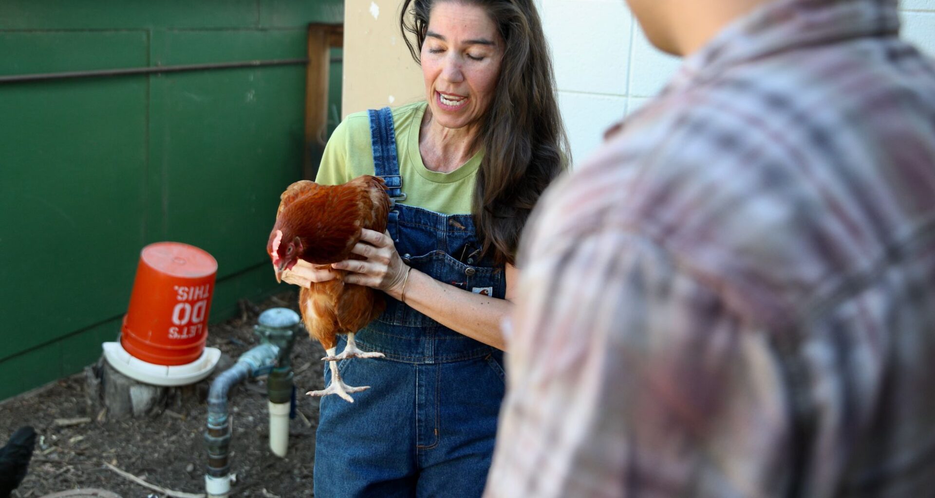 CSUDH urban farm demonstrates farming in a contaminated environment – Daily Breeze