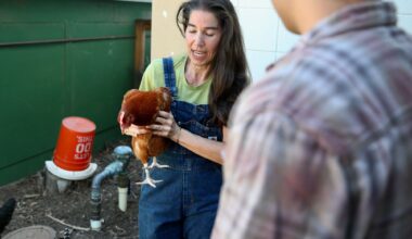 CSUDH urban farm demonstrates farming in a contaminated environment – Daily Breeze