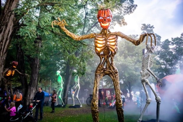 skeleton character