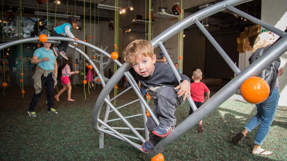 Here’s where kids can get in free during October in San Diego – NBC 7 San Diego