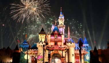 10 things you should never say to a Disney fan – Orange County Register