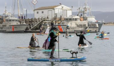 Spells get splashy as witches paddle in Redondo Beach, Morro Bay, and Ventura – NBC Los Angeles