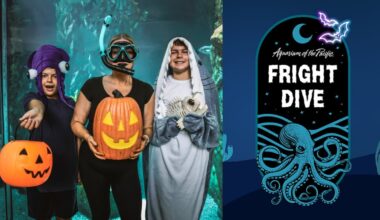 Aquarium of the Pacific has a ‘Scarium’ family bash and ‘Fright Dive’ for adults – NBC Los Angeles