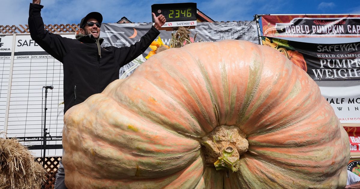 Giant pumpkins battle for heavyweight glory and the world record in California :: WRAL.com