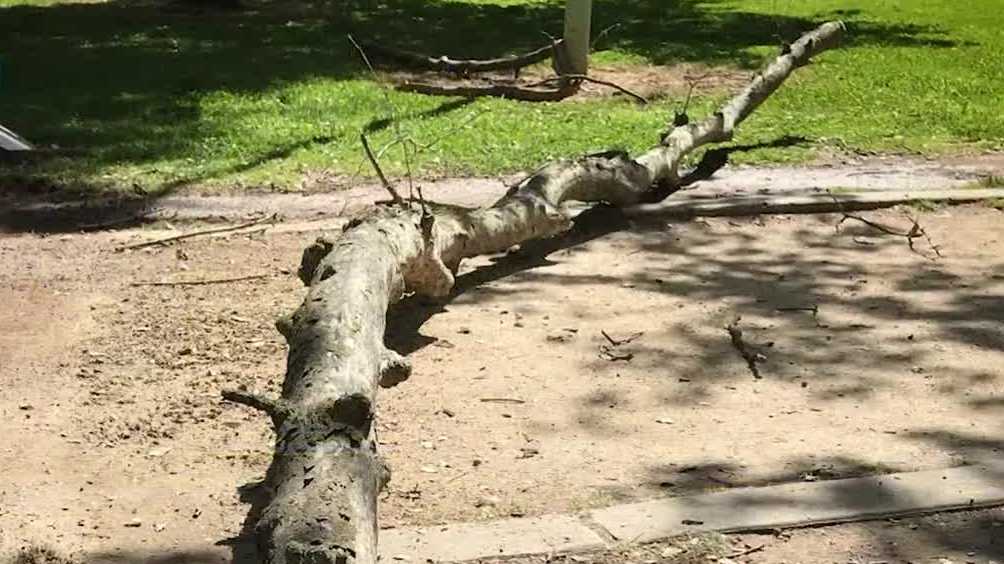 Sacramento jury awards $33 million in McKinley Park case