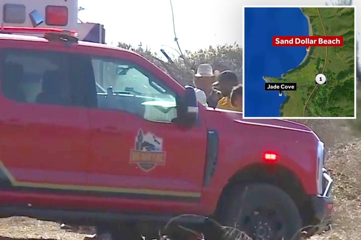 Swimmer dies after being found on rocks at Big Sur Beach