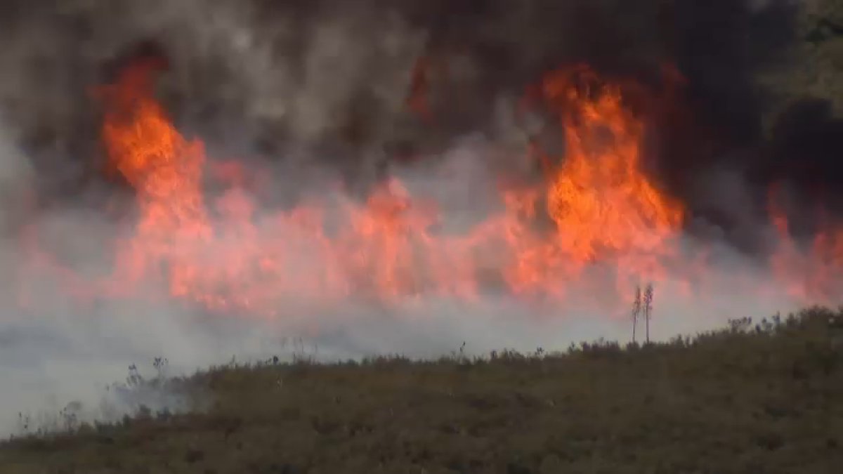 Santa Clarita man charged for allegedly starting Bouquet Fire – NBC Los Angeles