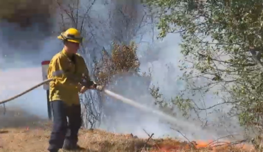 Bryson Fire in Malibu reaches 68% containment – NBC Los Angeles