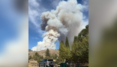 Bull Fire near California-Nevada border grows to 1,100 acres