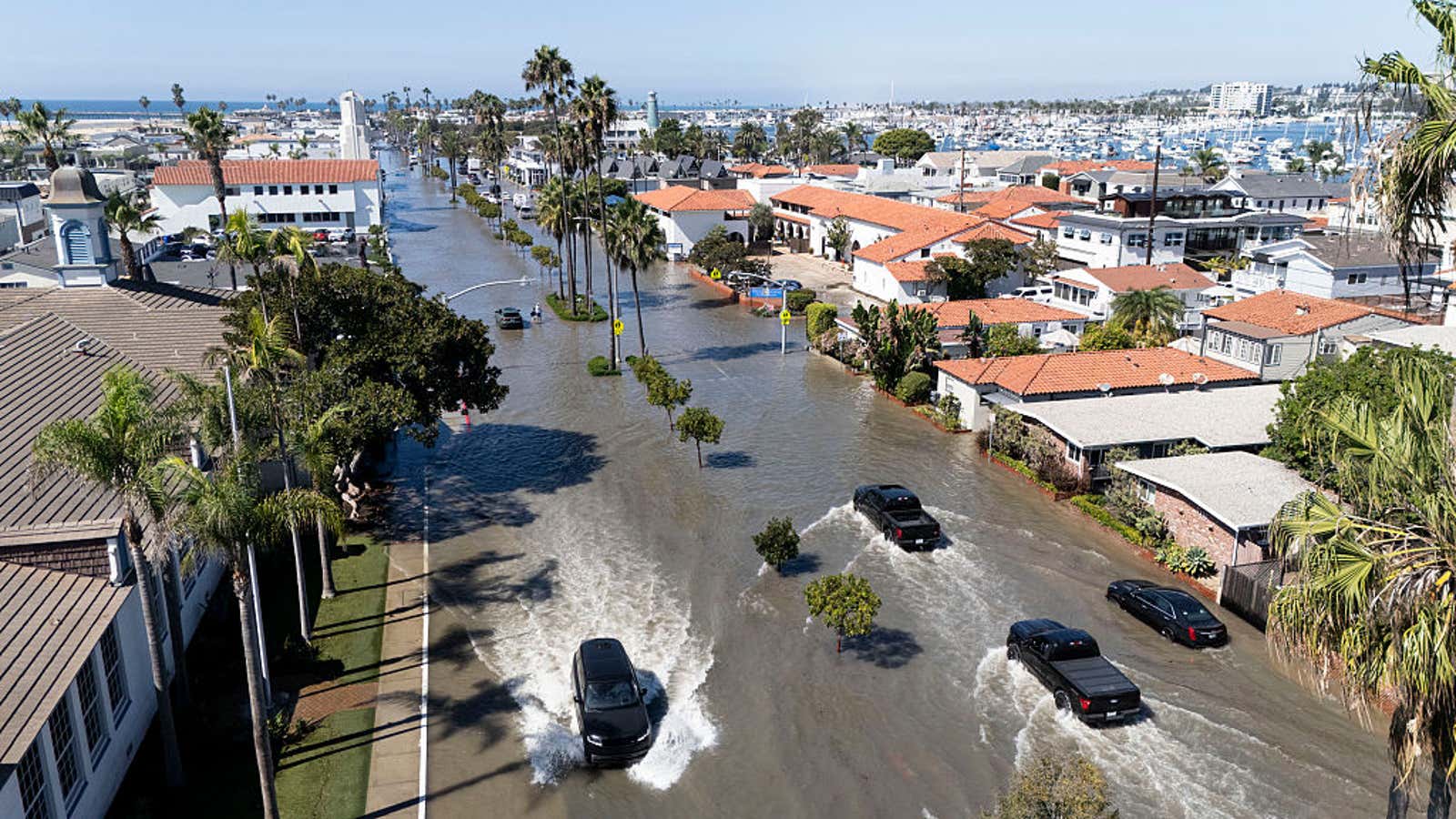 Aerial view of vehicles driving through a flooded residential street lined with palm trees near a coastal marina
