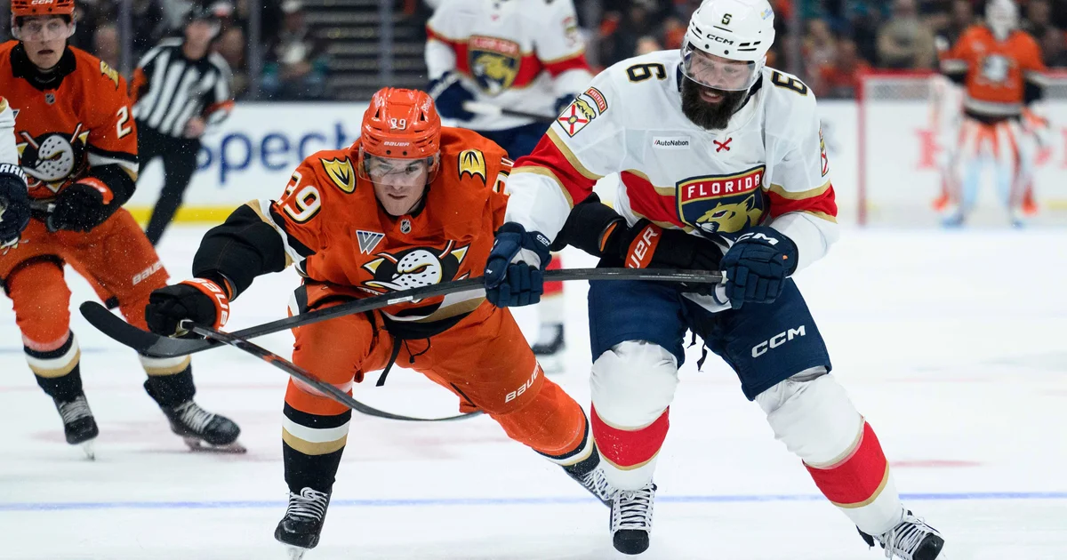 Florida Panthers fall to Anaheim Ducks 3-2 in overtime