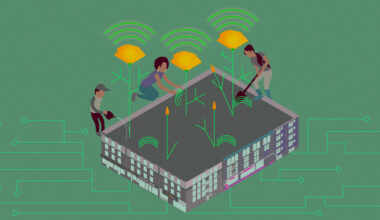 People tend to a community garden of wifi poppies. The raised bed is a neighborhood block.