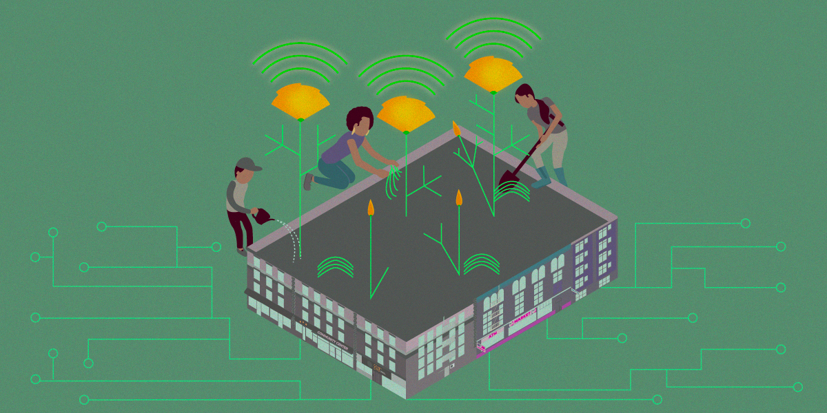 People tend to a community garden of wifi poppies. The raised bed is a neighborhood block.