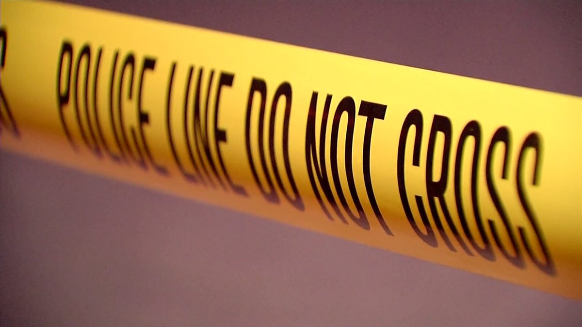 Sherman Oaks burglary thief steals designer handbags and amethyst – NBC Los Angeles