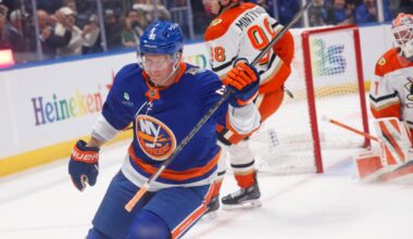 Islanders play most complete game of season in win over Ducks