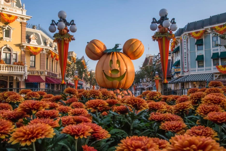 Things To Do in Orange County and Anaheim in October