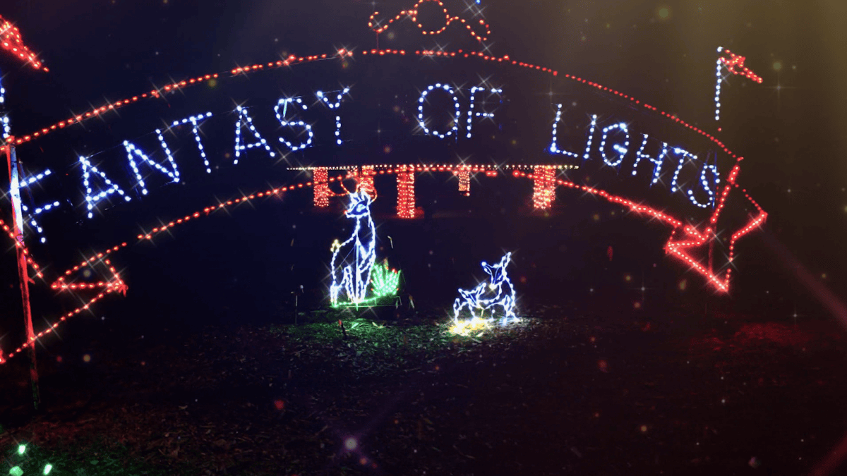 Los Gatos’ ‘Fantasy of Lights’ is walk-through only with fewer days this year – NBC Bay Area