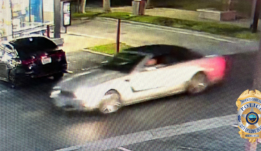 Police seek help identifying fatal hit-and-run driver