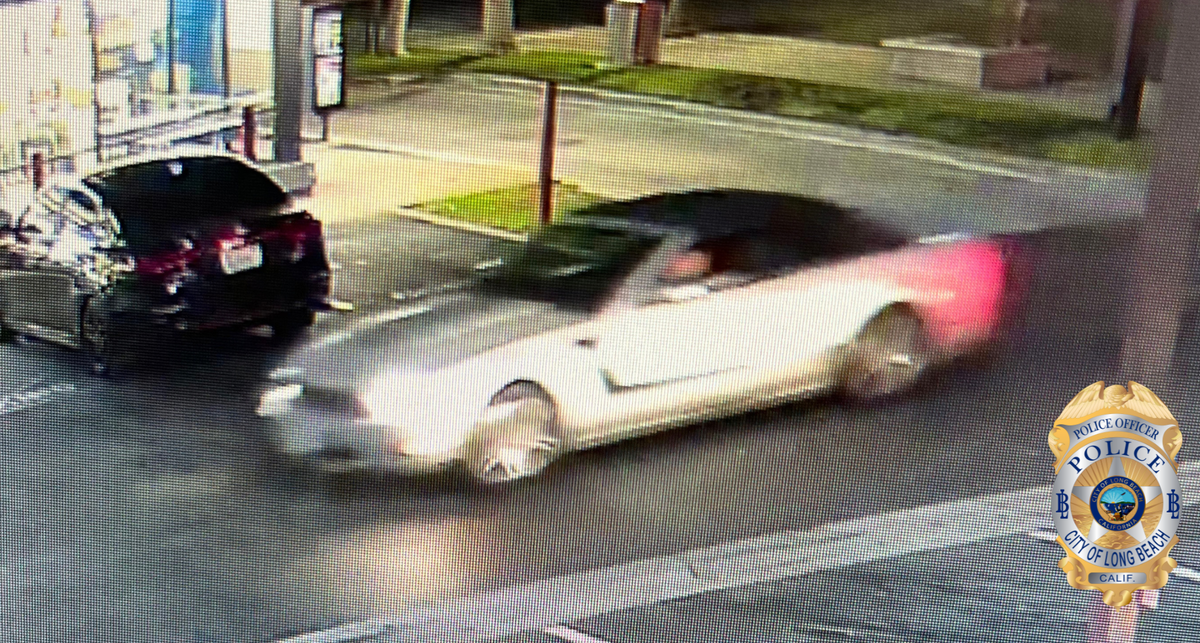 Police seek help identifying fatal hit-and-run driver
