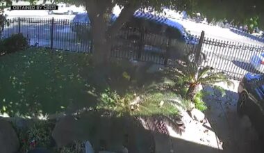 South Sacramento neighbors call for safety changes on Valley Hi Drive months after fatal crash