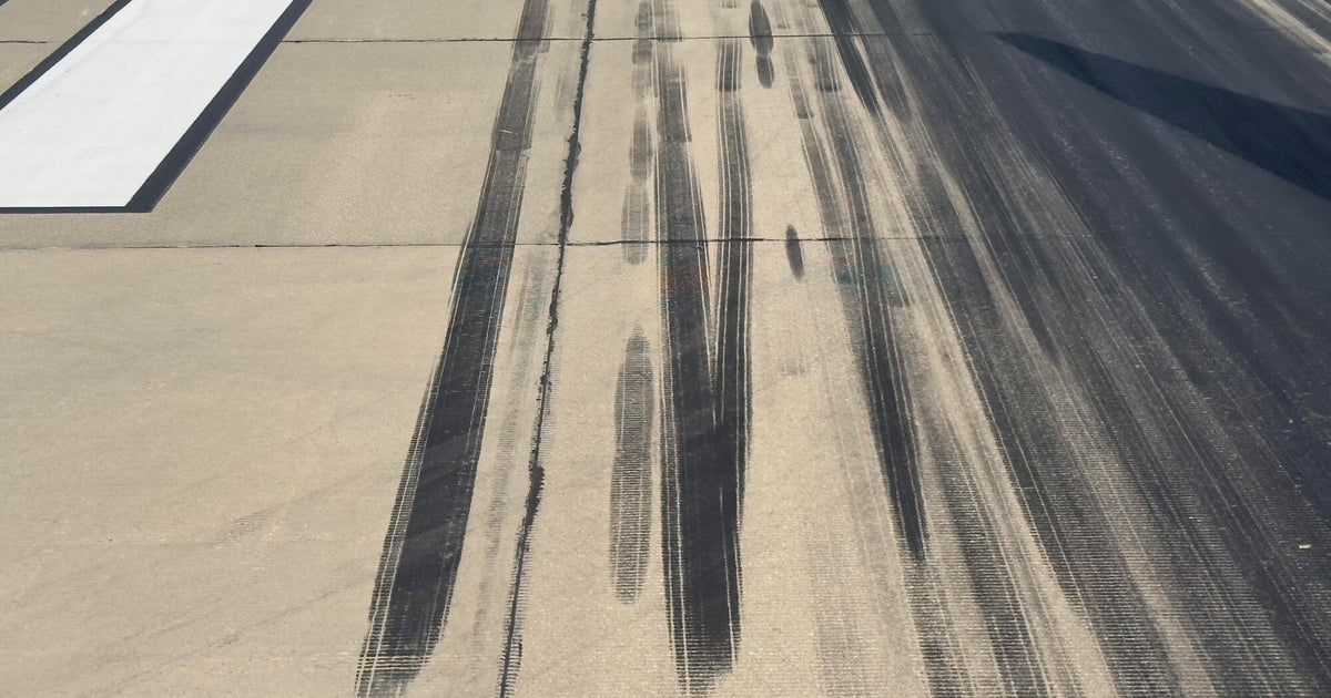 Elk Grove plane lands safely after dog has in-flight medical emergency