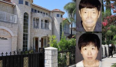 California couple at center of surrogacy scandal arrested on child abuse charges