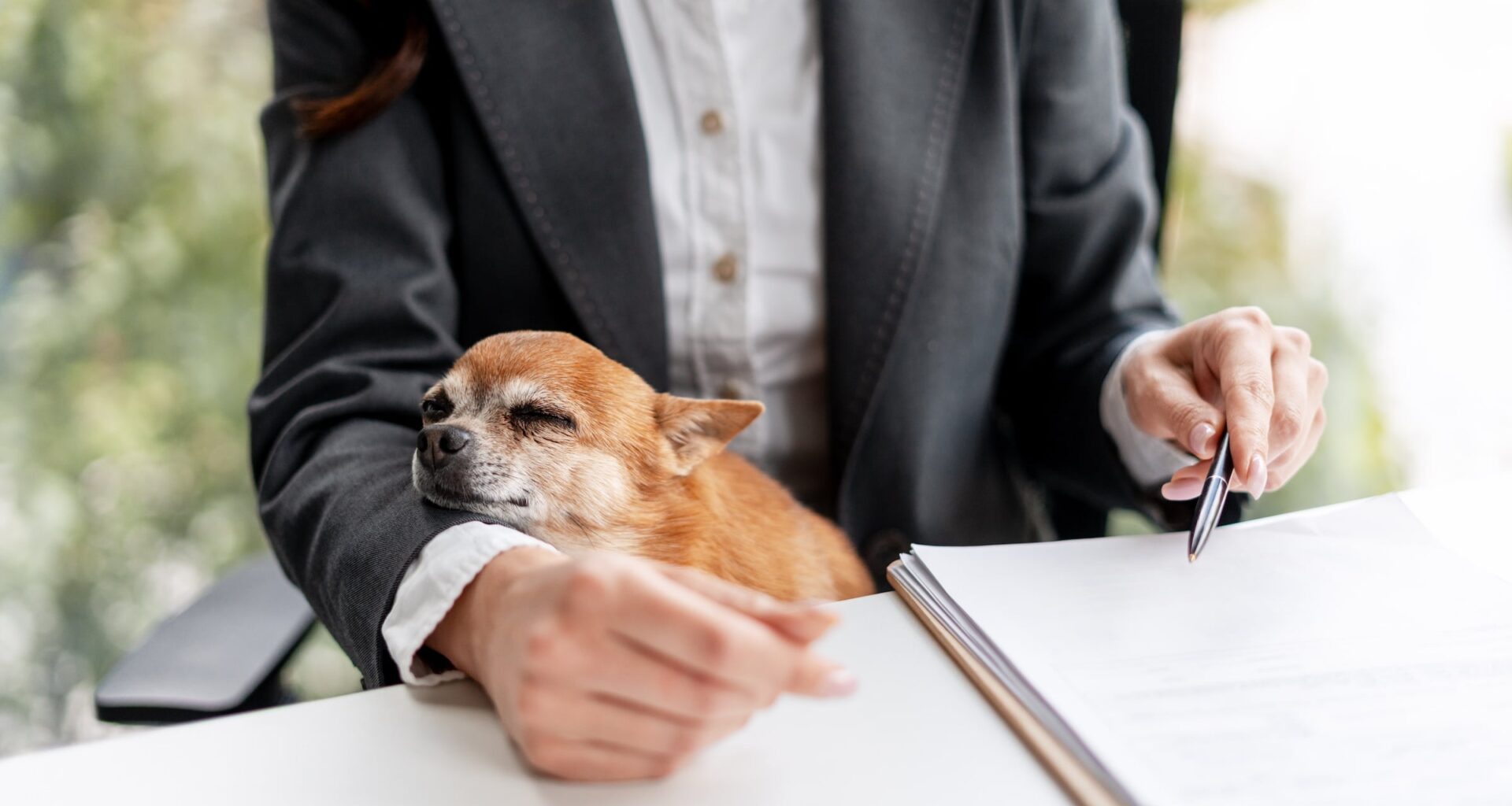 California Enacts Pet Policy Transparency Law for Rental Housing